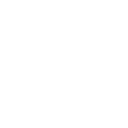 Stylish Icon